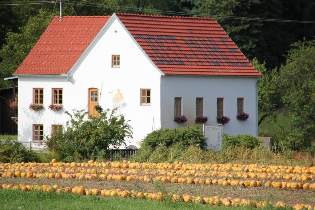 Buchgrabenhof Lejlighed Windisch Minihof Eksteriør billede